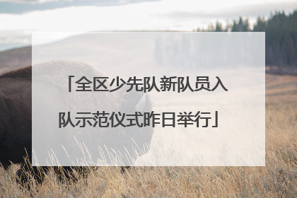 全区少先队新队员入队示范仪式昨日举行